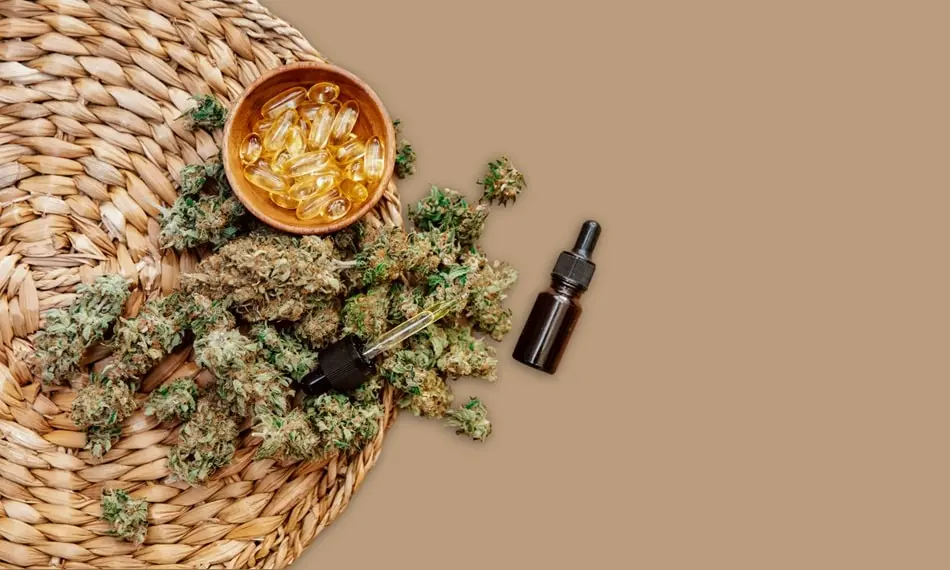 Different Forms of Cannabis that Are Best Suitable for Pain Relief
