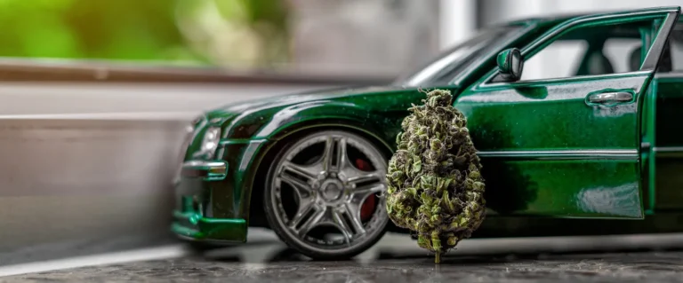 When Is It Safe to Drive After Using Cannabis? Risks and Precautions