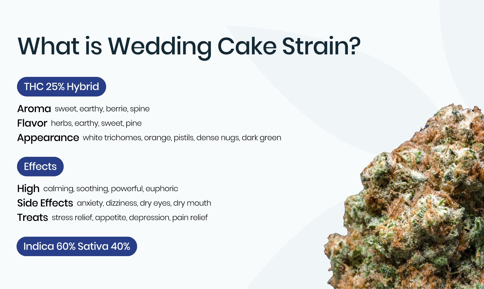Why Is the Wedding Cake Strain So Special?