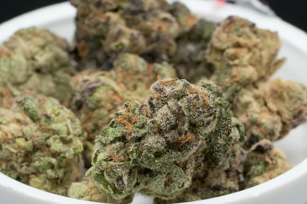 Apple Fritter Weed Strain: A Bite of Bliss