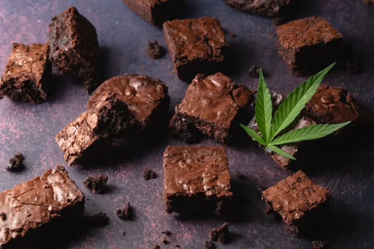 Brownie Scout Strain: A Sweet and Balanced Cannabis Experience