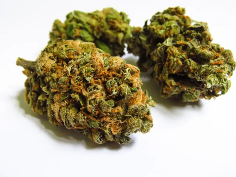 Gelonade Strain: All You Need to Know