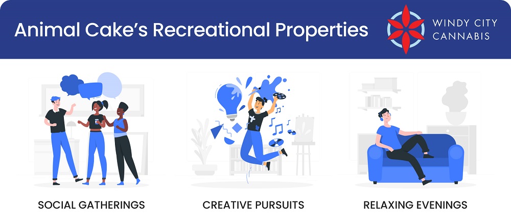 Animal Cake’s Recreational Properties