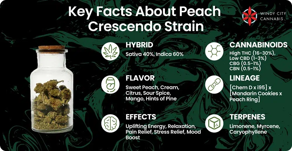 Key Facts About Peach Crescendo Strain