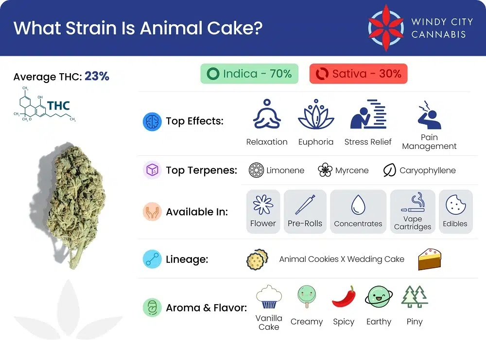 What Strain Is Animal Cake?